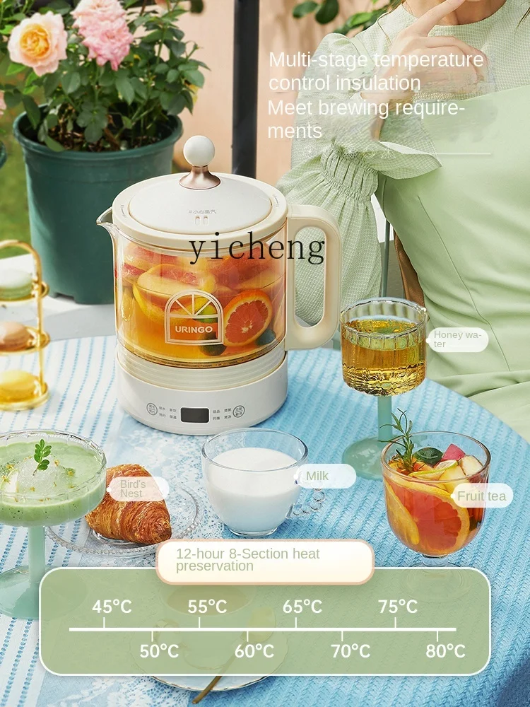 健康鍋、小型、多機能、家庭用、自動ガラス製ティーメーカー C - Health & Wellness Services At Western University Photos のレビューと価格